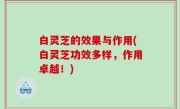 白灵芝的效果与作用(白灵芝功效多样，作用卓越！)