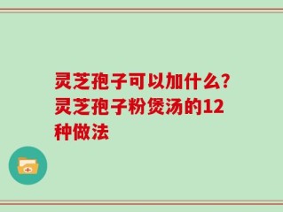 灵芝孢子可以加什么？灵芝孢子粉煲汤的12种做法