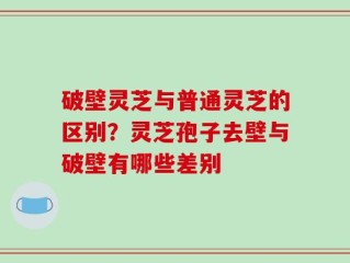 破壁灵芝与普通灵芝的区别？灵芝孢子去壁与破壁有哪些差别