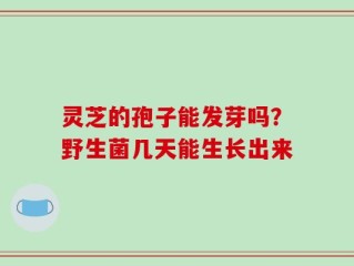 灵芝的孢子能发芽吗？野生菌几天能生长出来