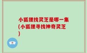小狐狸找灵芝是哪一集(小狐狸寻找神奇灵芝)
