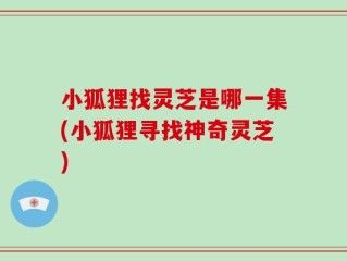 小狐狸找灵芝是哪一集(小狐狸寻找神奇灵芝)
