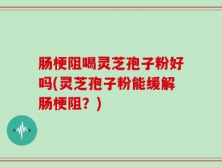 肠梗阻喝灵芝孢子粉好吗(灵芝孢子粉能缓解肠梗阻？)