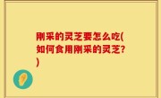刚采的灵芝要怎么吃(如何食用刚采的灵芝？)