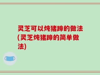 灵芝可以炖猪蹄的做法(灵芝炖猪蹄的简单做法)