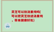 灵芝可以放汤里炖吗(可以把灵芝放进汤里炖，带来健康好处)