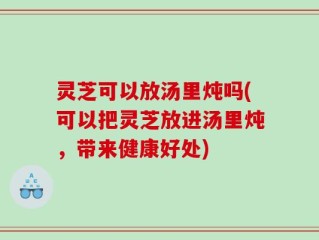 灵芝可以放汤里炖吗(可以把灵芝放进汤里炖，带来健康好处)