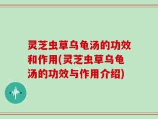 灵芝虫草乌龟汤的功效和作用(灵芝虫草乌龟汤的功效与作用介绍)