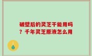 破壁后的灵芝干能用吗？千年灵芝原液怎么用