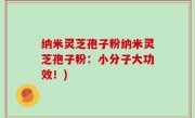 纳米灵芝孢子粉纳米灵芝孢子粉：小分子大功效！)