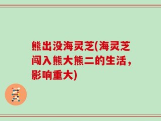 熊出没海灵芝(海灵芝闯入熊大熊二的生活，影响重大)