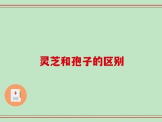 灵芝和孢子的区别