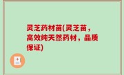 灵芝药材苗(灵芝苗，高效纯天然药材，品质保证)