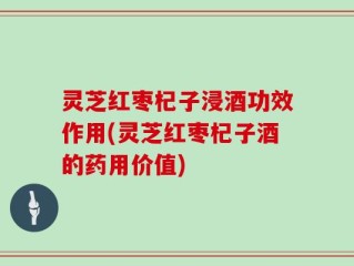 灵芝红枣杞子浸酒功效作用(灵芝红枣杞子酒的药用价值)