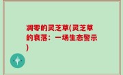 凋零的灵芝草(灵芝草的衰落：一场生态警示)