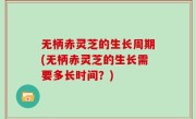 无柄赤灵芝的生长周期(无柄赤灵芝的生长需要多长时间？)