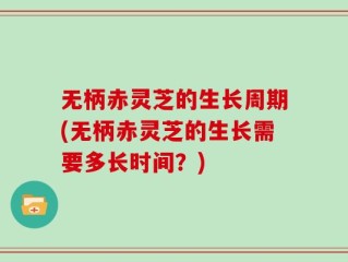 无柄赤灵芝的生长周期(无柄赤灵芝的生长需要多长时间？)