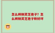 怎么辨别灵芝孢子？怎么辨别灵芝孢子粉好坏