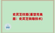 史灵芝纹眉(重塑完美眉：史灵芝微雕技术)