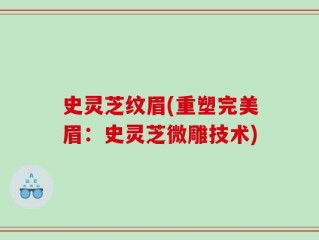 史灵芝纹眉(重塑完美眉：史灵芝微雕技术)