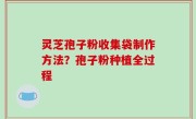 灵芝孢子粉收集袋制作方法？孢子粉种植全过程