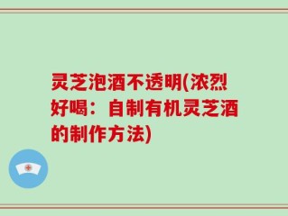 灵芝泡酒不透明(浓烈好喝：自制有机灵芝酒的制作方法)