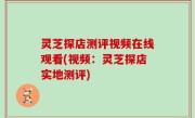 灵芝探店测评视频在线观看(视频：灵芝探店实地测评)