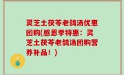 灵芝土茯苓老鸽汤优惠团购(感恩季特惠：灵芝土茯苓老鸽汤团购营养补品！)