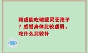 阳虚能吃破壁灵芝孢子？感觉身体比较虚弱，吃什么比较补