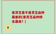 紫灵芝是不是灵芝品种最差的(紫灵芝品种排名最末？)