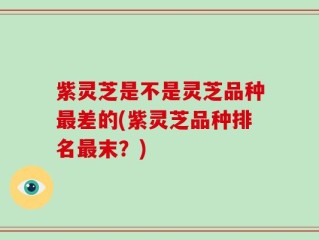 紫灵芝是不是灵芝品种最差的(紫灵芝品种排名最末？)