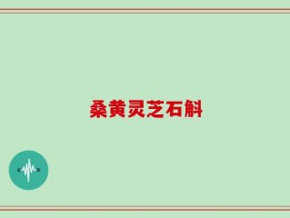 桑黄灵芝石斛