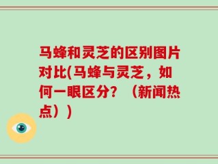 马蜂和灵芝的区别图片对比(马蜂与灵芝，如何一眼区分？（新闻热点）)