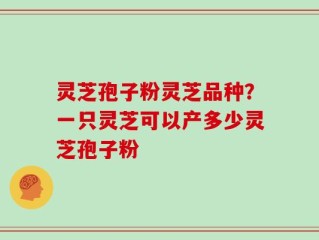 灵芝孢子粉灵芝品种？一只灵芝可以产多少灵芝孢子粉