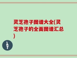 灵芝孢子图谱大全(灵芝孢子的全面图谱汇总)