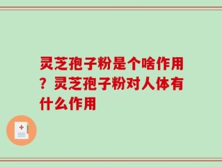 灵芝孢子粉是个啥作用？灵芝孢子粉对人体有什么作用