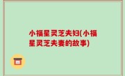 小福星灵芝夫妇(小福星灵芝夫妻的故事)