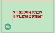 四川生长哪种灵芝(四川何以促进灵芝生长？)
