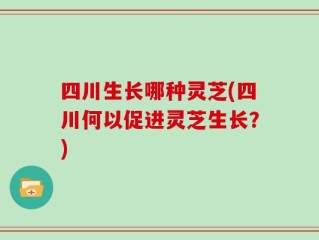 四川生长哪种灵芝(四川何以促进灵芝生长？)