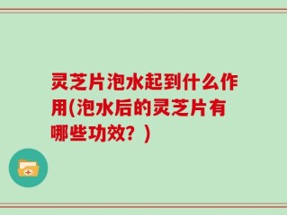 灵芝片泡水起到什么作用(泡水后的灵芝片有哪些功效？)