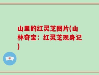 山里的红灵芝图片(山林奇宝：红灵芝现身记)