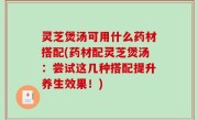 灵芝煲汤可用什么药材搭配(药材配灵芝煲汤：尝试这几种搭配提升养生效果！)