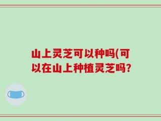 山上灵芝可以种吗(可以在山上种植灵芝吗？