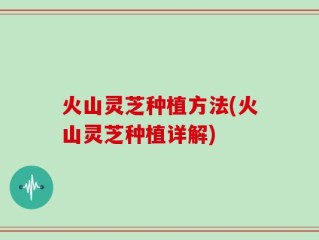 火山灵芝种植方法(火山灵芝种植详解)
