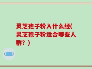 灵芝孢子粉入什么经(灵芝孢子粉适合哪些人群？)