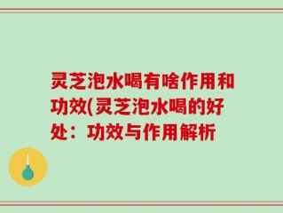 灵芝泡水喝有啥作用和功效(灵芝泡水喝的好处：功效与作用解析
