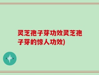 灵芝孢子芽功效灵芝孢子芽的惊人功效)