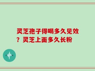 灵芝孢子得喝多久见效？灵芝上面多久长粉