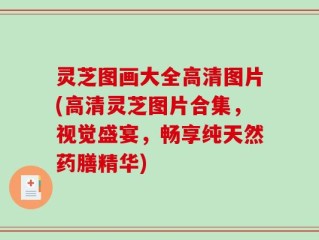 灵芝图画大全高清图片(高清灵芝图片合集，视觉盛宴，畅享纯天然药膳精华)