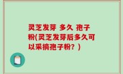 灵芝发芽 多久 孢子粉(灵芝发芽后多久可以采摘孢子粉？)